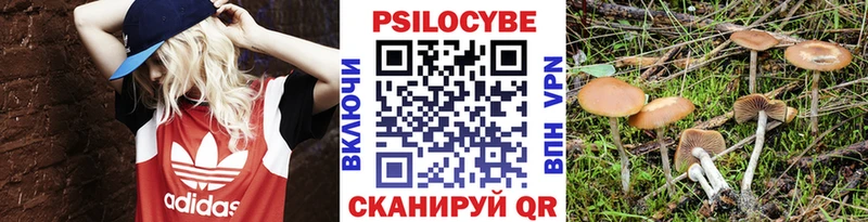 Купить закладки  Обь  Галлюциногенные грибы прущие грибы 